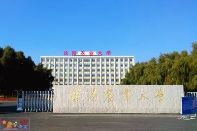锦州第二师范学校图片