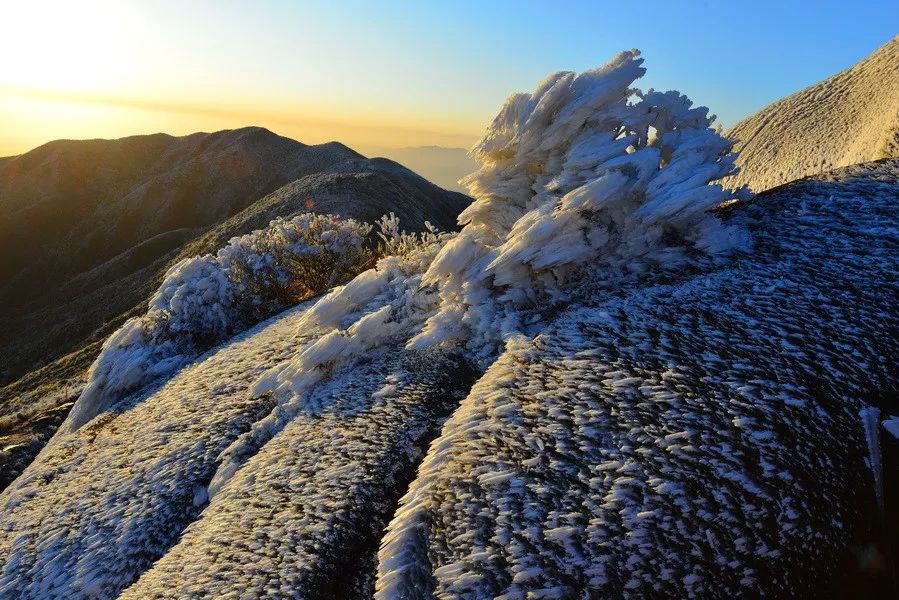 梁野山雪景图片