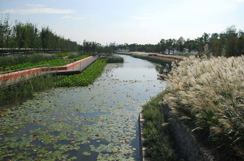 通常水體岸坡受水沖刷的程度取決於水面的大小,水位高低,風速及岸土的