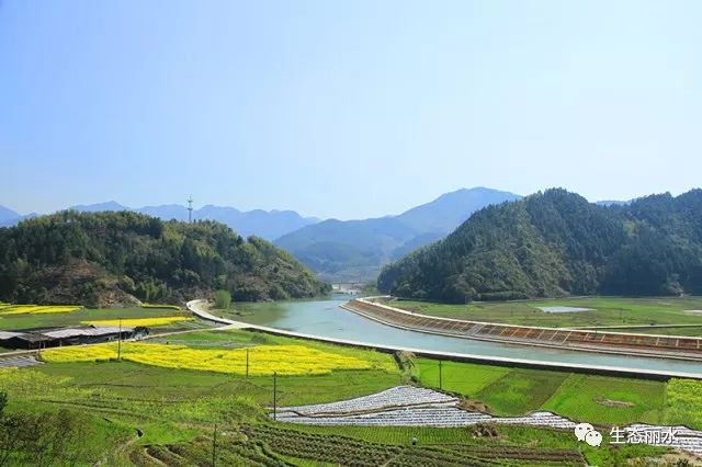 一泓活水興村富民慶元縣助力美麗鄉村建設