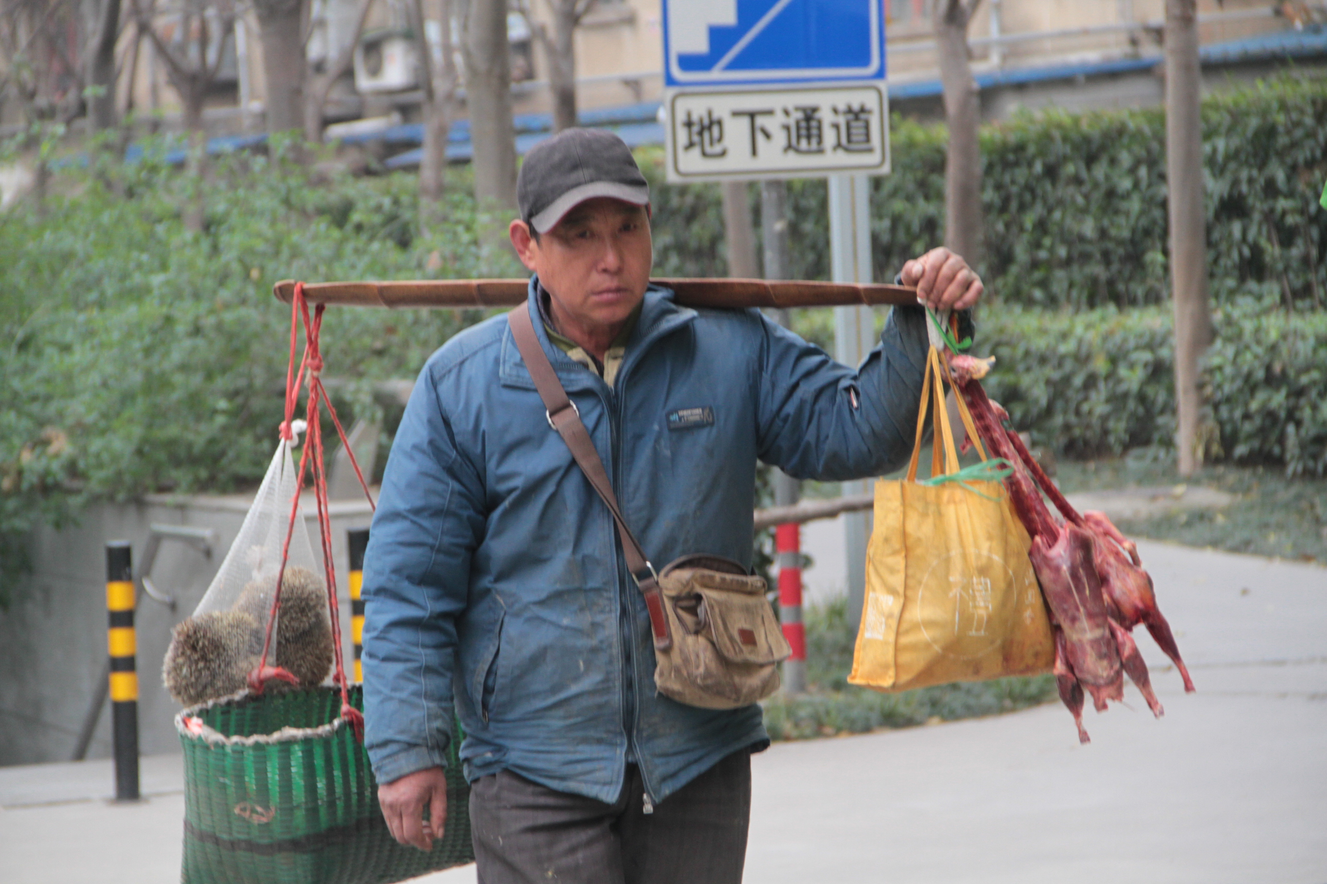 挑担子的老头图片图片