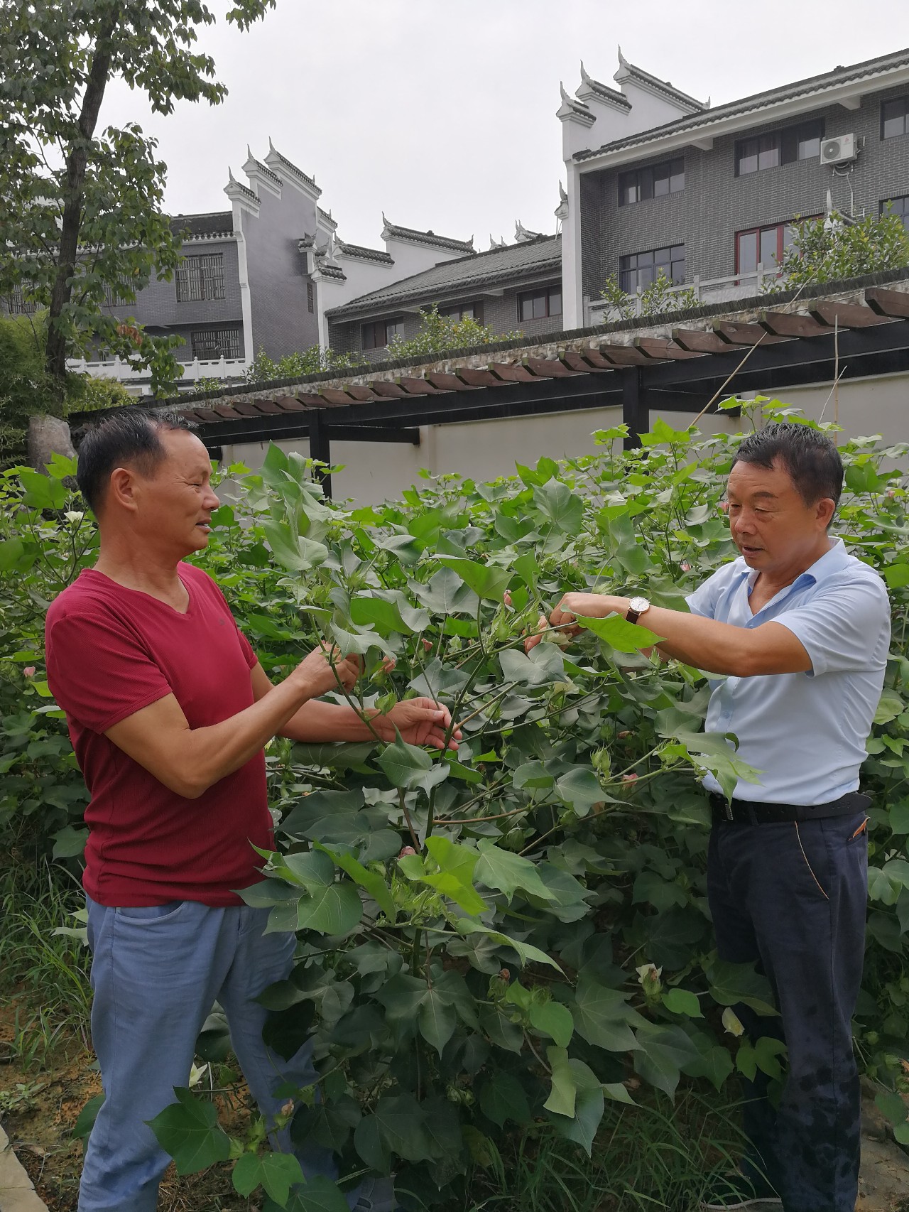 红春社区居委会,经过党员,居民选举,刘正国当选为红春社区党总支书记