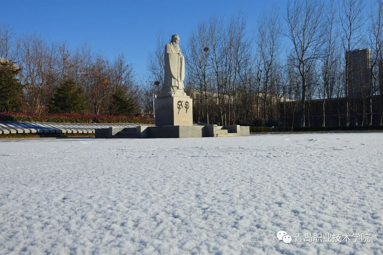 如夢似幻披上了一層瑩白雪後的青職雪睛雲淡日光寒晨起開門雪滿山故穿