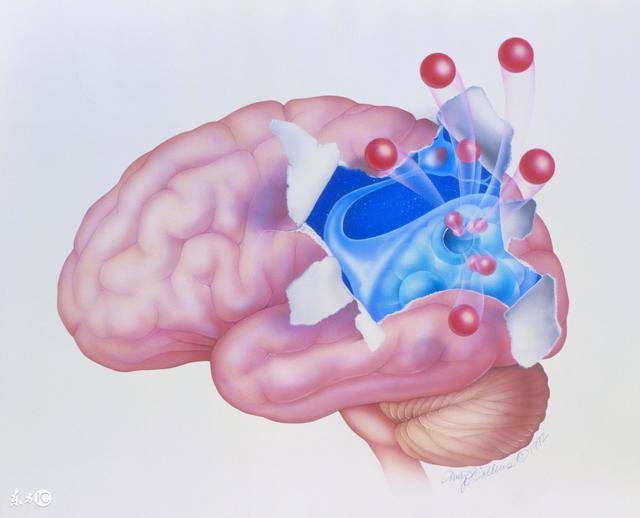 腦垂體---大腦的獎賞中樞——《童教》