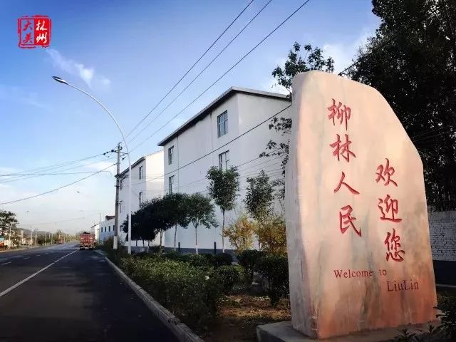 清河县柳林村图片