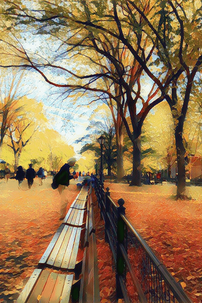 纽约中央公园的绿色长条椅上