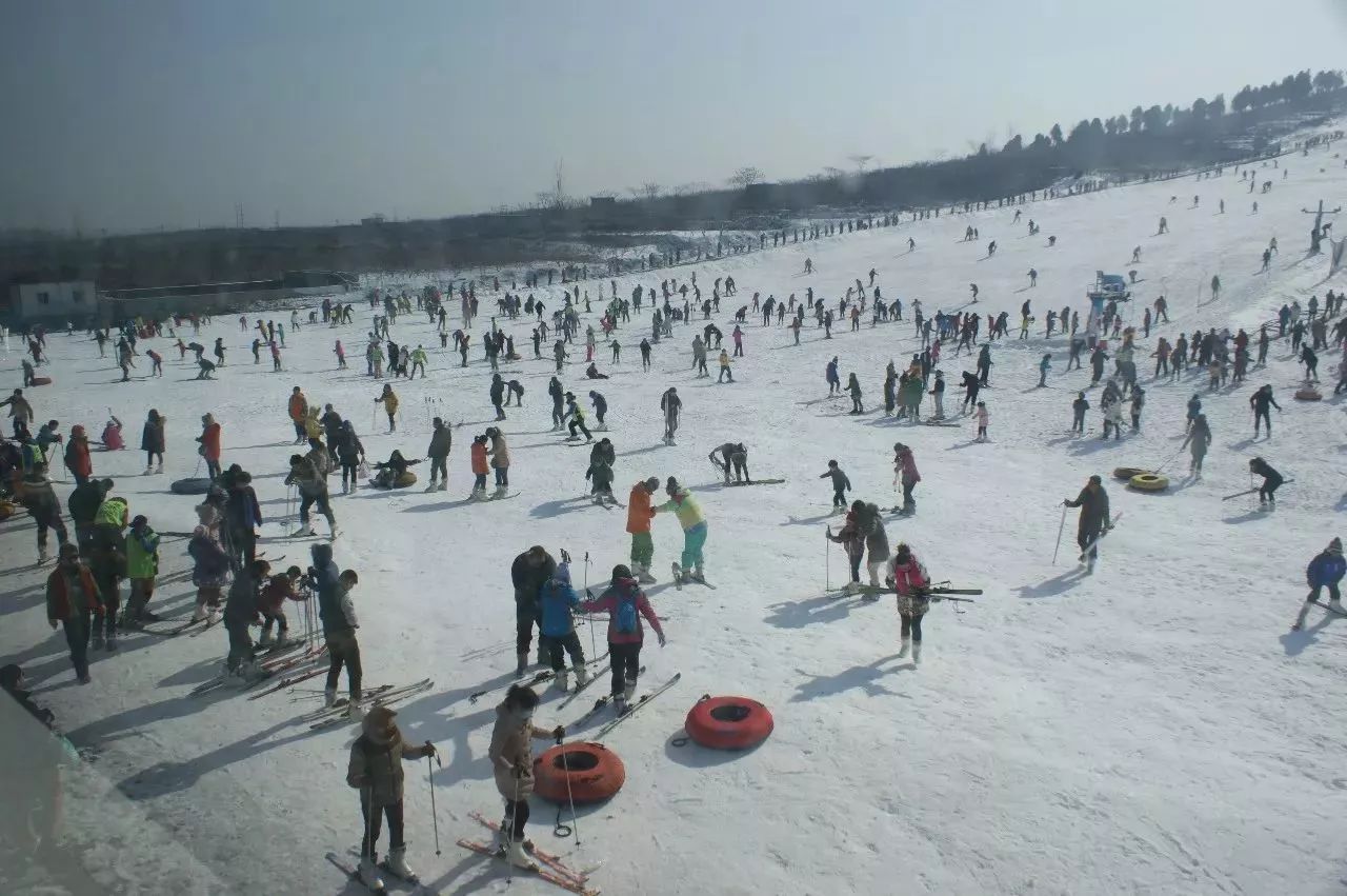 临沂滑雪协会车贴全市开始发放贴车贴享受滑雪优惠价并送团队餐电子代