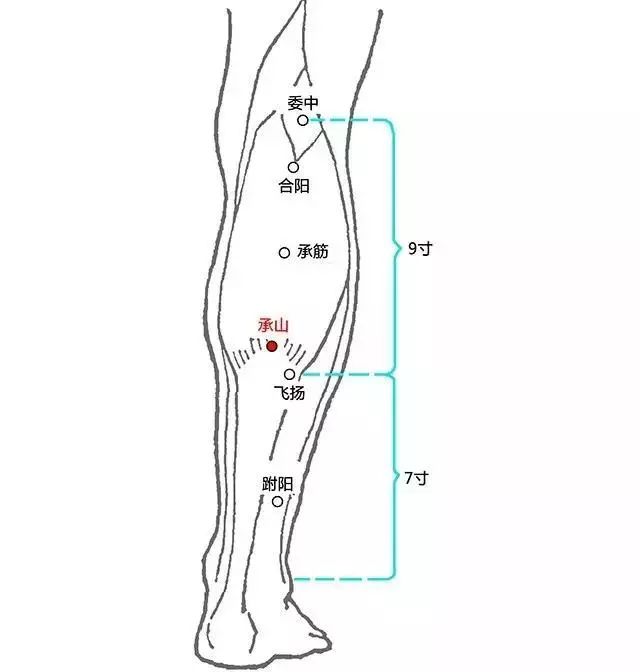 承山穴(在足太阳膀胱经上,位于小腿肚子下方正当中)是除去人体湿气的