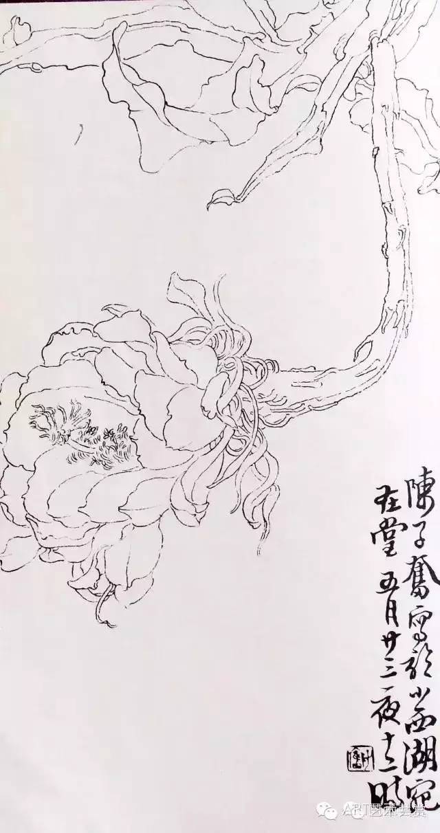 从白描到创作陈子奋花鸟画合集