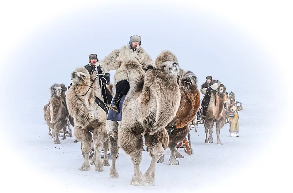 蒙古族冬天图片