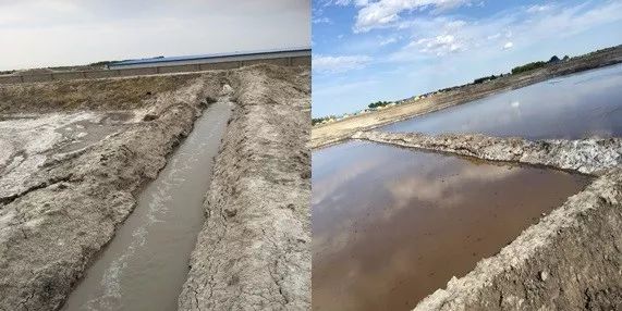 这种采用挖排碱渠,大水漫灌的传统排盐碱方式,对水资源依赖程度高