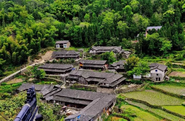 永嘉县石鸟村图片