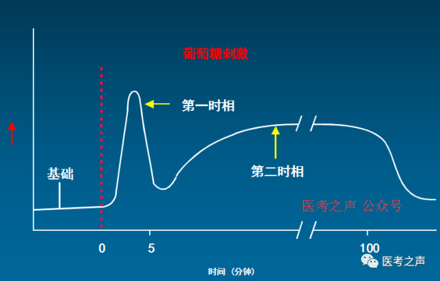 所以主要是降低餐后血糖因为他主要是胰岛素的第一时相分泌直击餐后?