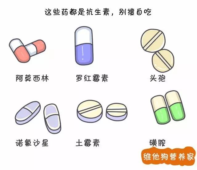 感冒大多屬於病毒感染,抗生素只能殺死細菌,隨意亂用,只會增加副作用