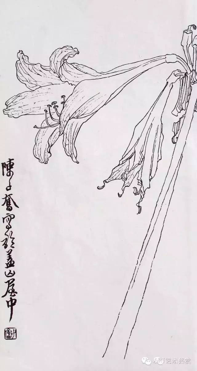 从白描到创作陈子奋花鸟画合集