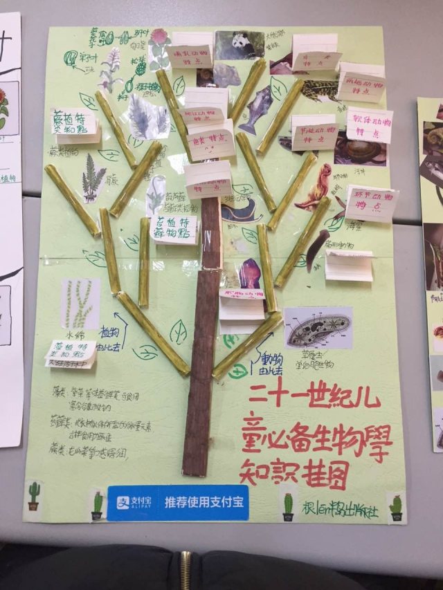 奥秘我们在路上昆一中度假区分校金岸中学生物课堂构建模型之进化树