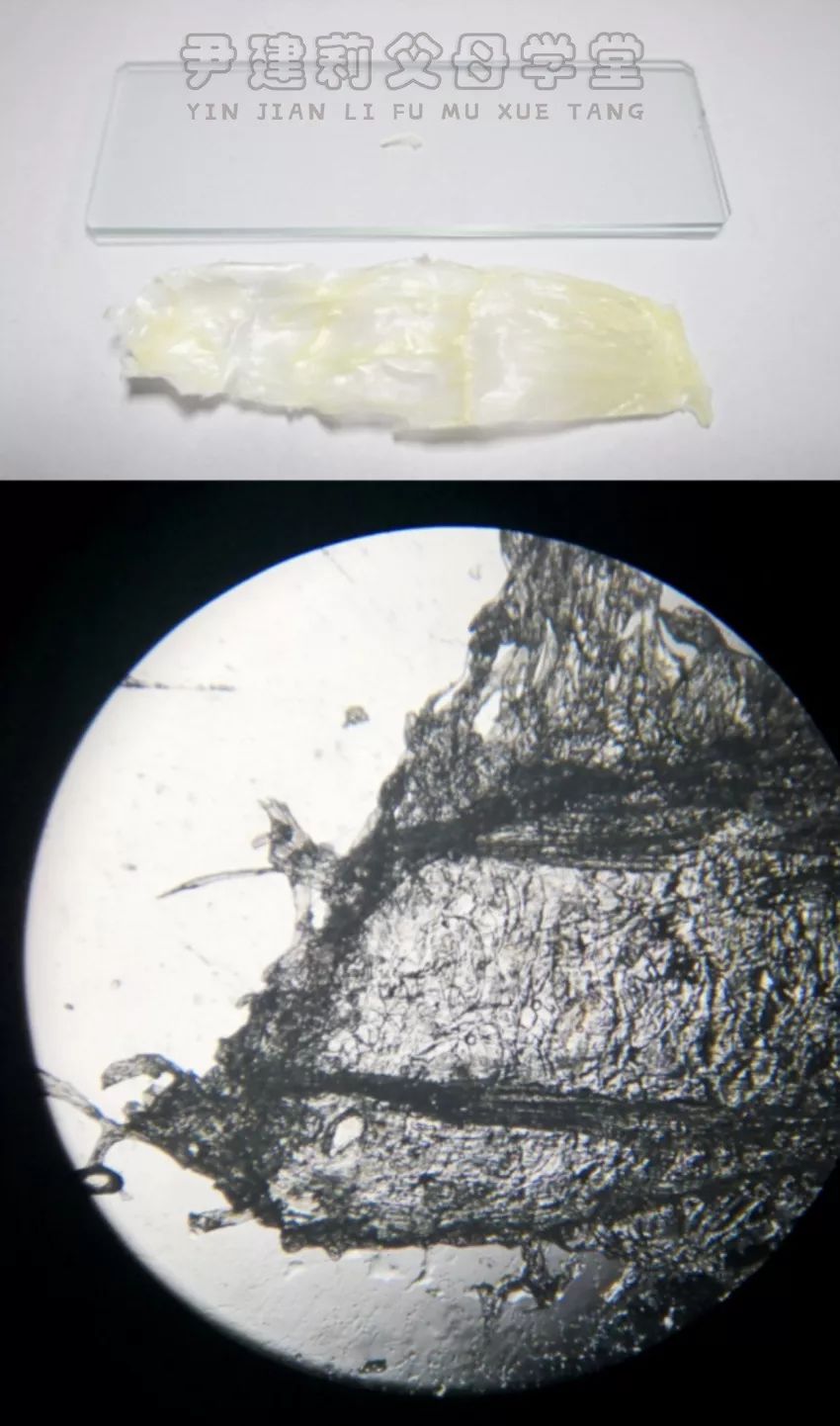 超級聖誕好禮能看見最遠世界的天文望遠鏡和看見最小世界的顯微鏡給