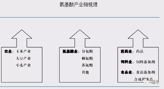 2017年中国氨基酸行业发展现状分析及未来发展前景预测