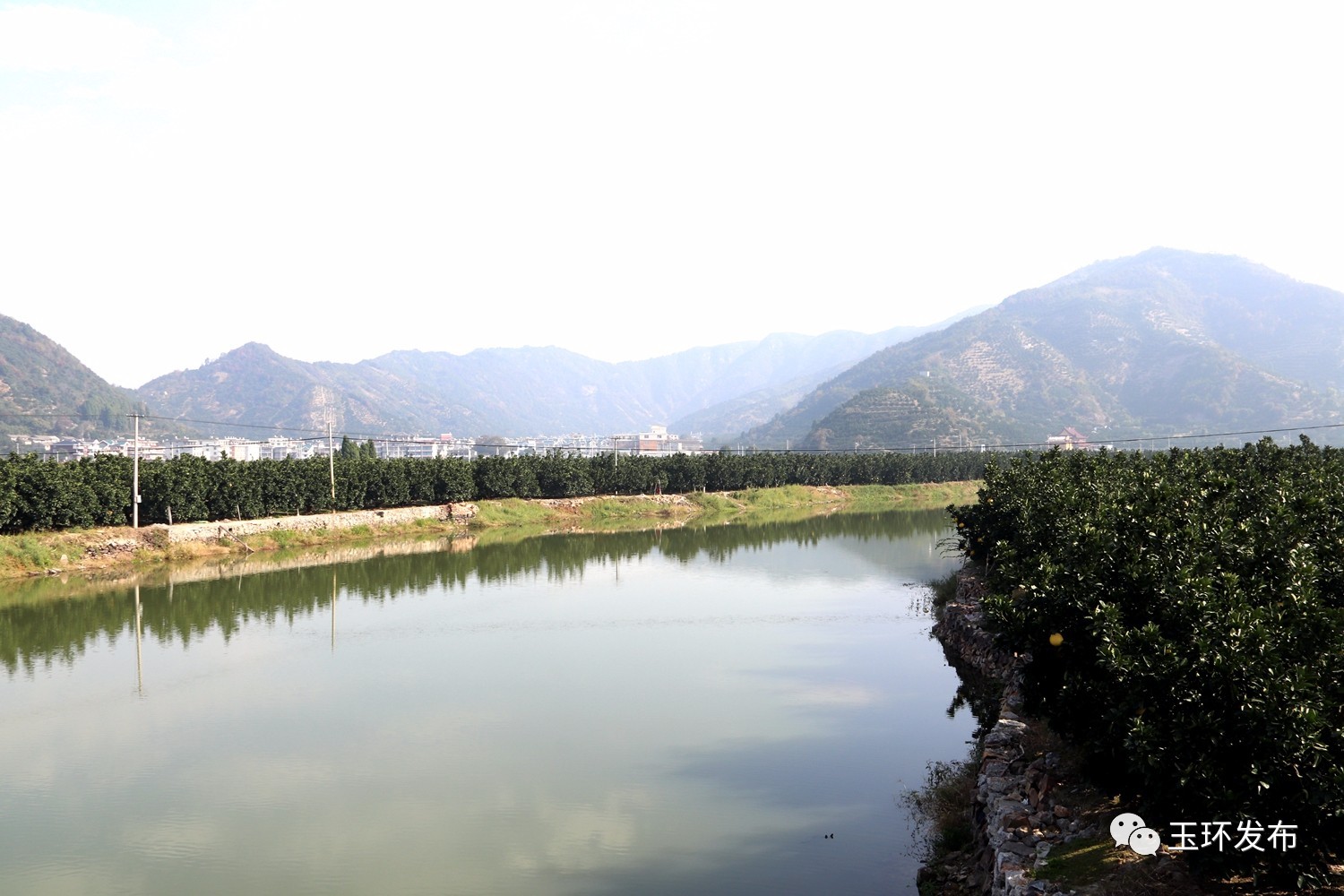 台州市治水辦常務副主任,環保局長陳昌筍,玉環市領導吳才平,楊良強