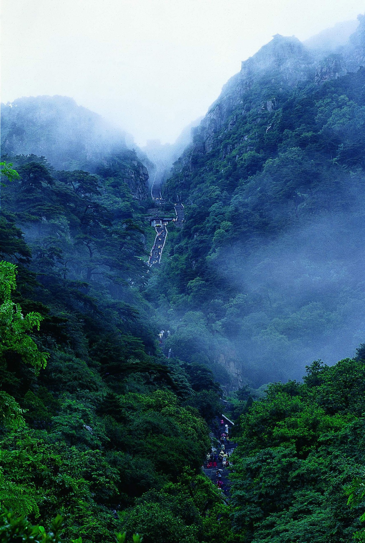 泰山华夏民族的巨桅此文献给泰山入选世界双遗产三十年