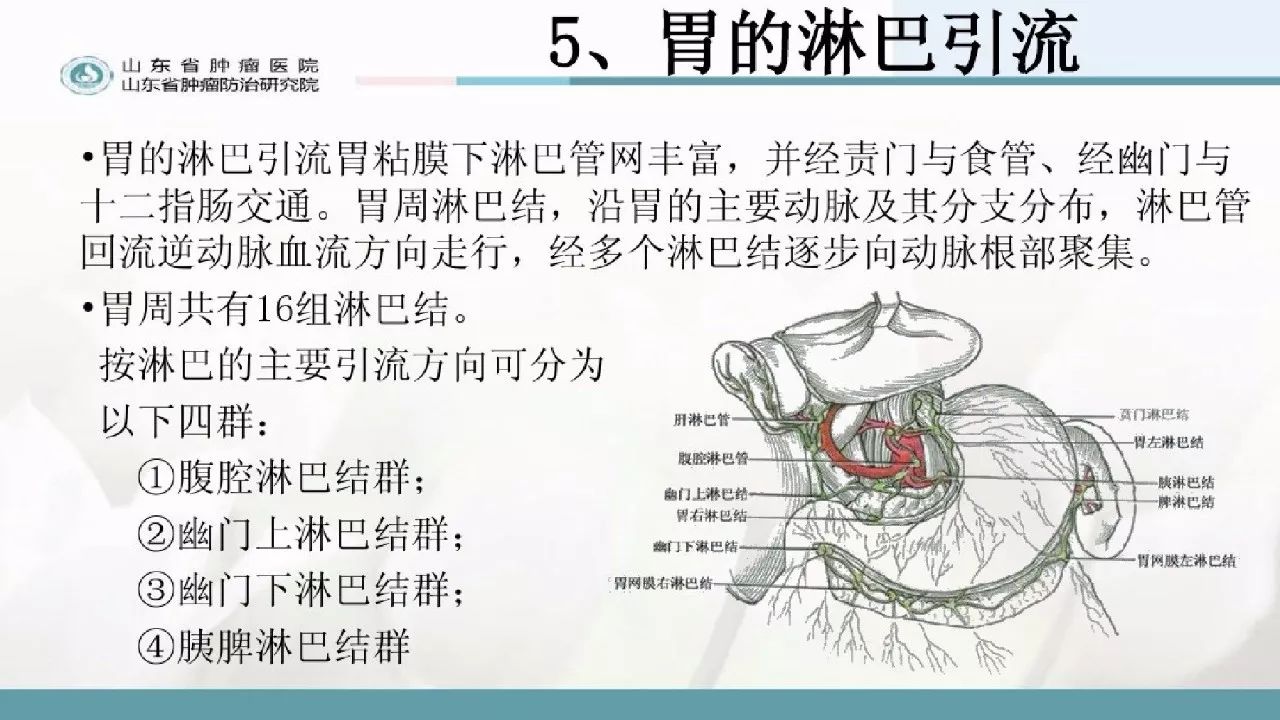 胃大部切除術的圍手術期的護理