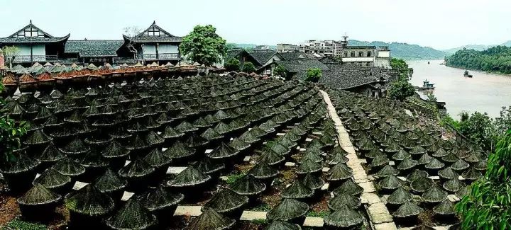 白垇村,白沙镇忠孝村,神臂城镇经盘村,神臂城镇老泸村,大桥镇高鼓山村