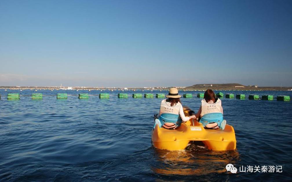 秦皇岛海洋牧场图片