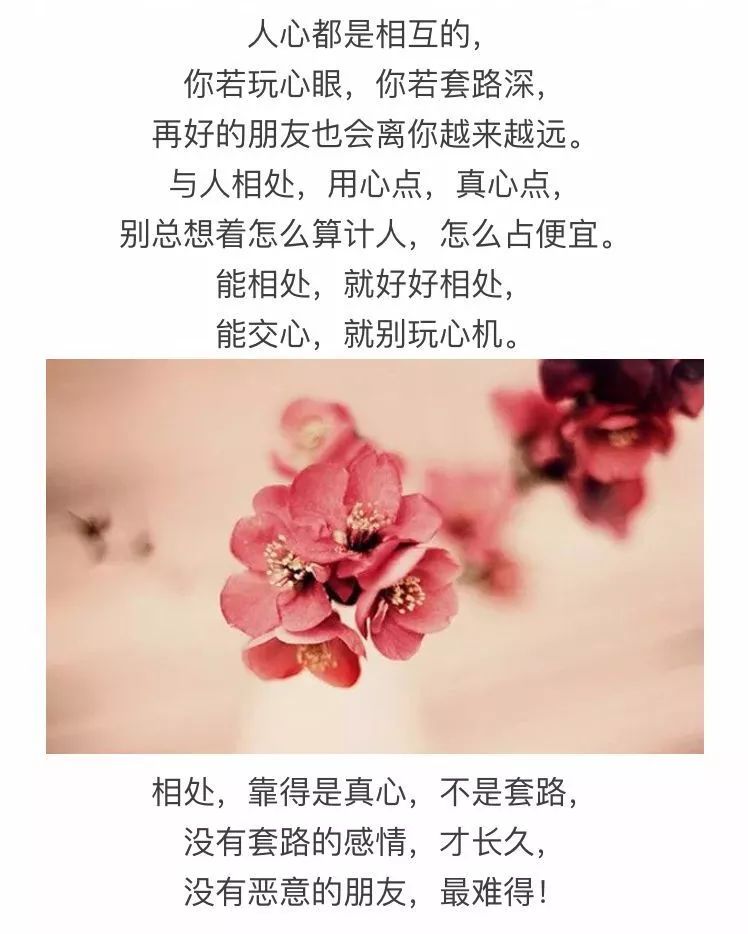 相处,靠得是真心,不是套路