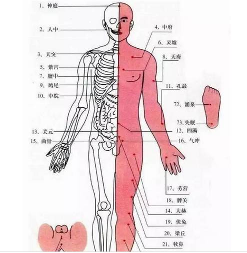 【健康養生】人體最全經絡穴位圖