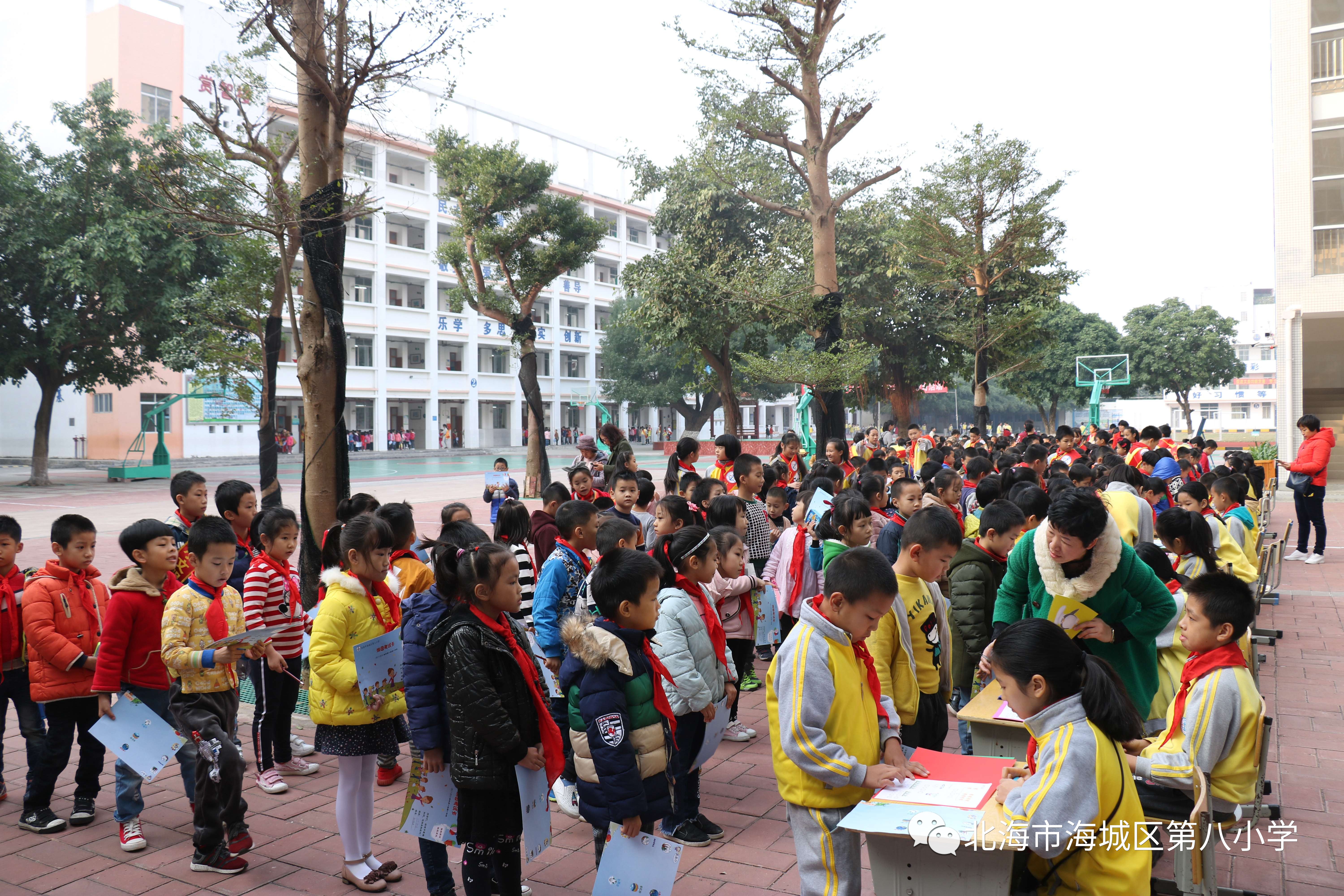 北海第八小学图片