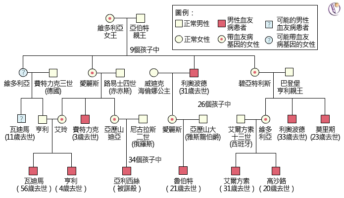 后来通过联姻传播,血友病弥漫到了整个欧洲皇室之间