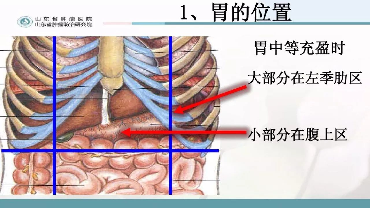 胃大部切除术的围手术期的护理