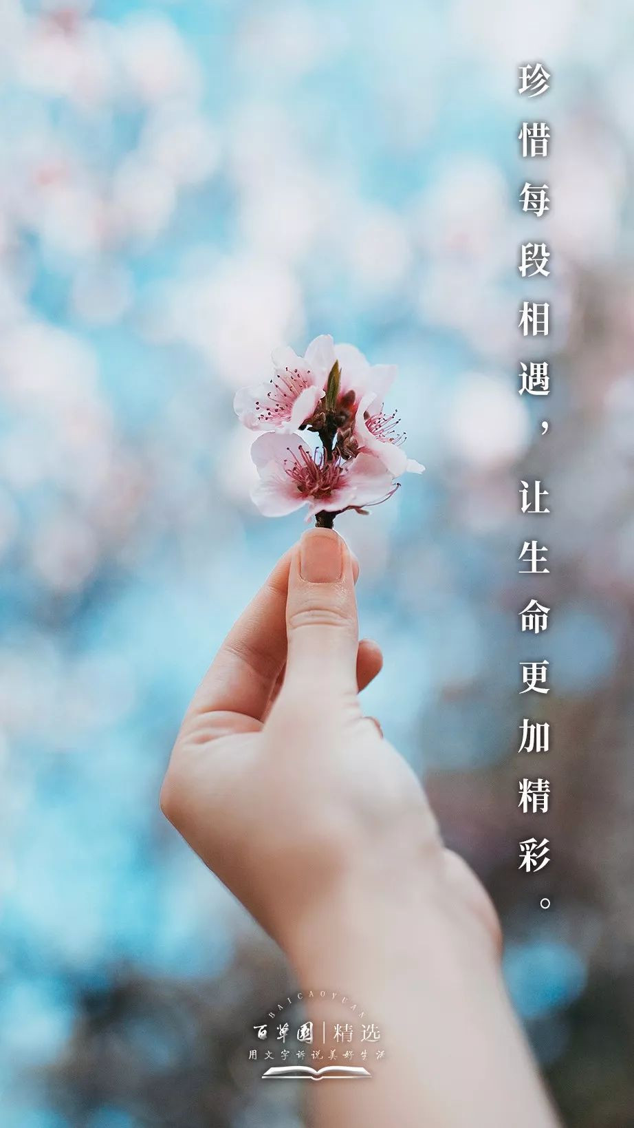 生活禅丨珍惜每段相遇,让生命更加精彩.