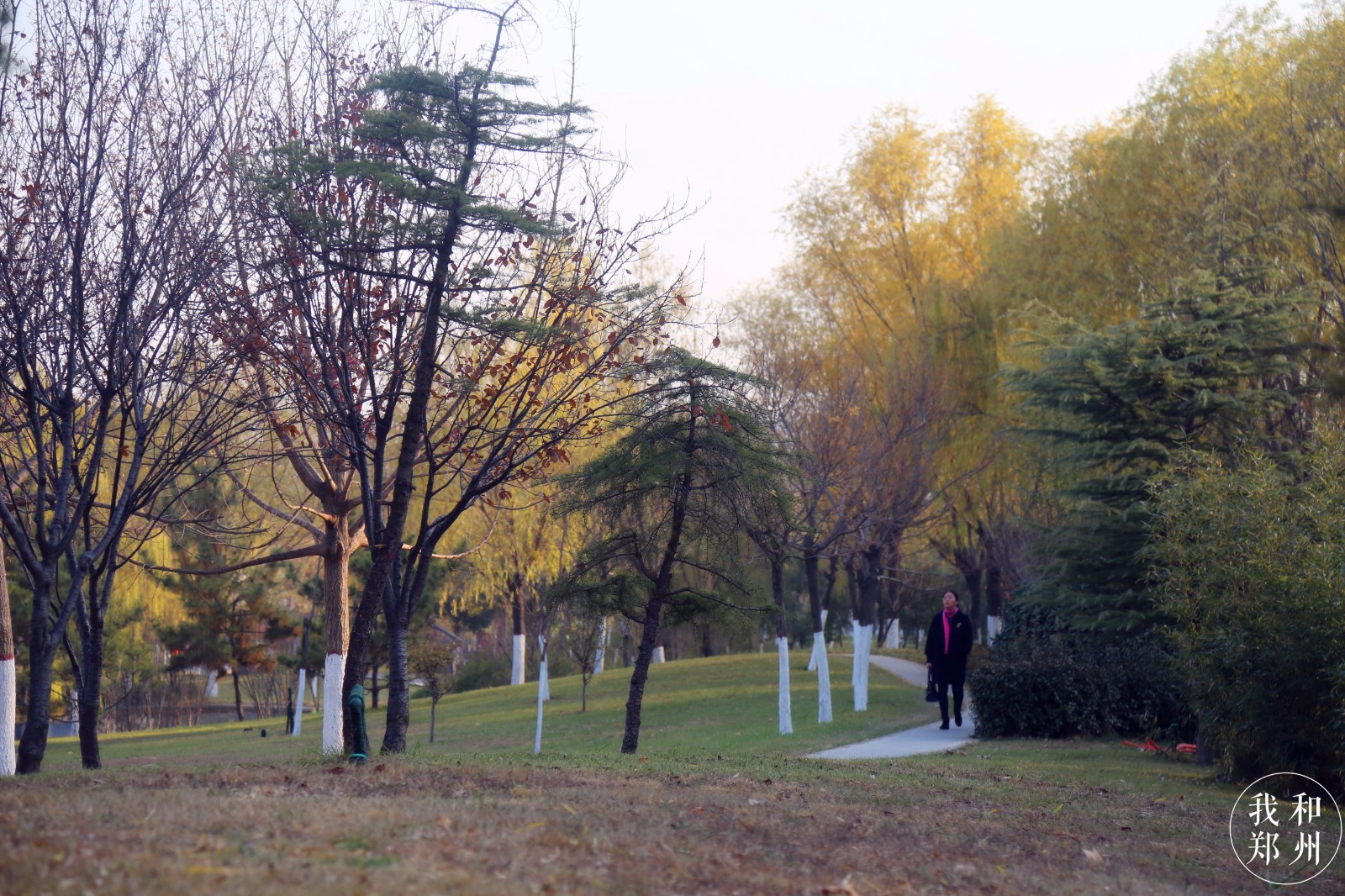 不少文化氛圍那是相當濃厚鄭州中學,外國語有國立西郊公園之稱的鄭大