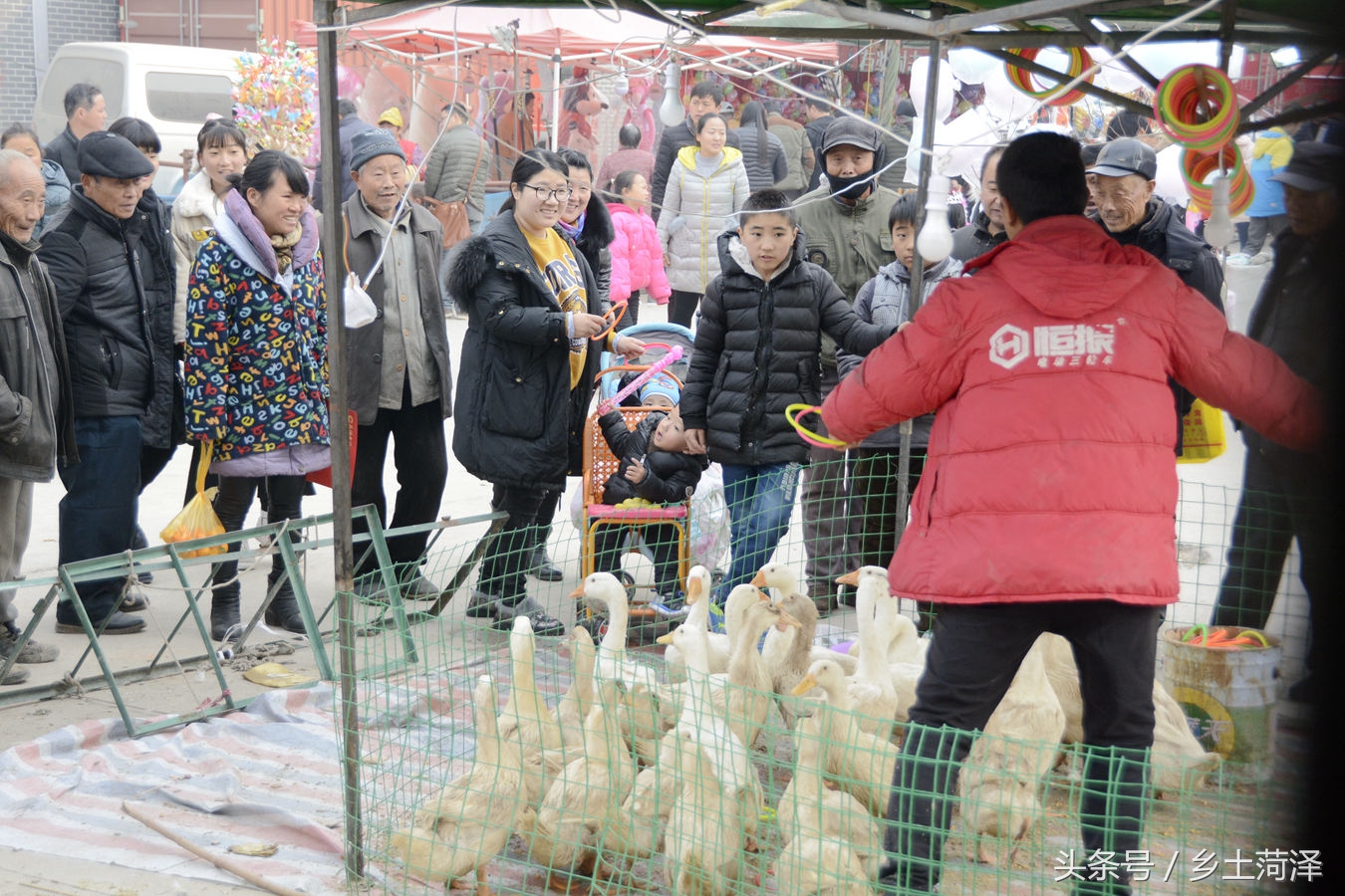 小两口设"圈套"卖鸭卖鹅 吃住在车上日收入过千