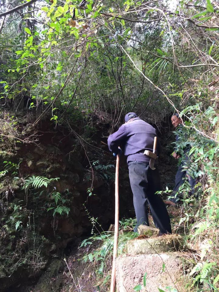 王村86歲老人上山撿柴火失蹤,找到時已無生命跡象!