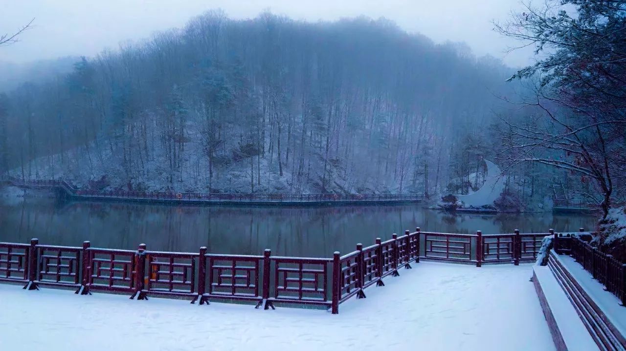 滑雪,冰上碰碰船,雪地摩托…洛阳白云山,满足你对冬季的所有幻想!