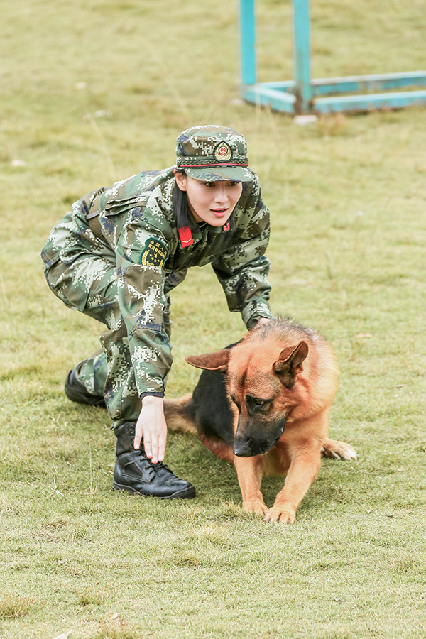 奇兵神犬 设卡训练演技上线姜潮张馨予化身 老司机 互相质疑整容