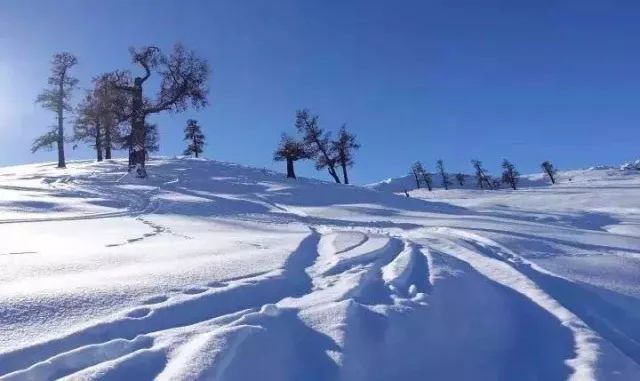 滑雪报名新疆阿勒泰滑雪之旅滑最野的雪撒最酷的野