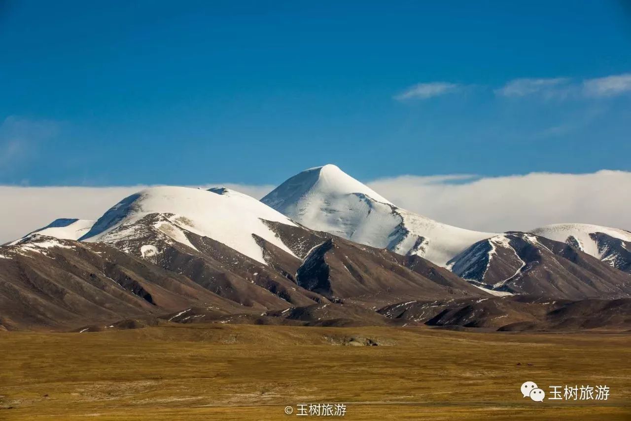 玉樹藏族自治州旅遊局,曲麻萊縣人民政府,可可西里管理局,成都極限