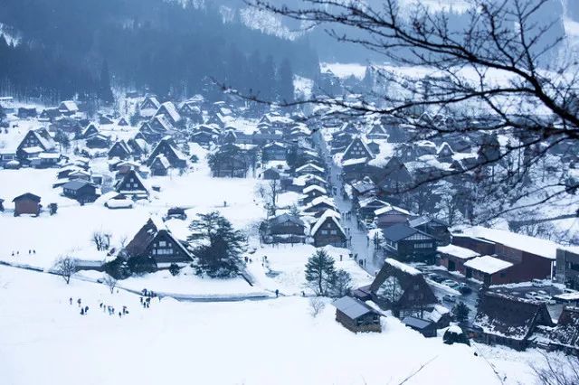 网红"日本最美乡村"白川乡,下雪的冬天才是它最美的样子!