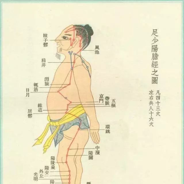 头道汤的12条经络图片