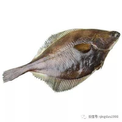 阿拉斯加捕捞的大部分黄盖鲽都出口到中国,其中一部分在山东等地的