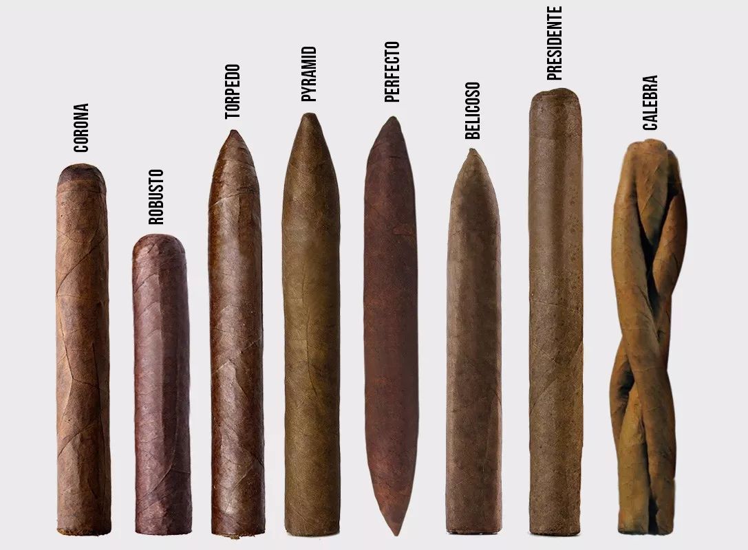 雪茄烟叶品种图片