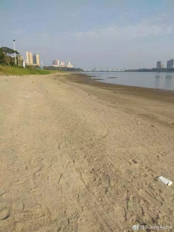 今日,石龍沙洲難得一見的