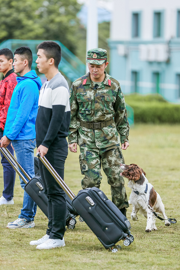 杨朵兰男朋友图片