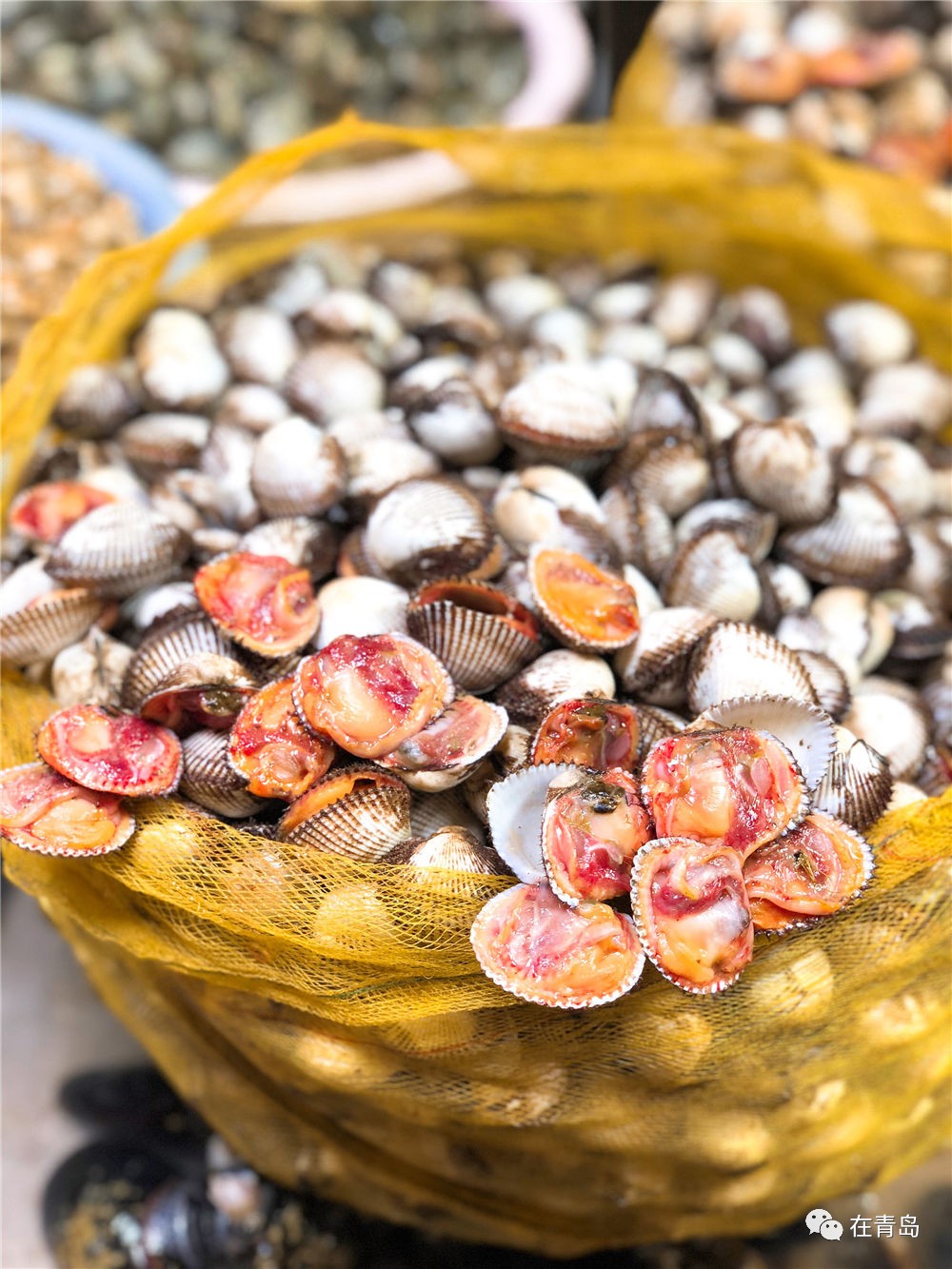 小海胆▲海葵▲花盖螃蟹埠西市场部分海鲜价格黄花鱼 25元/斤海蛎子