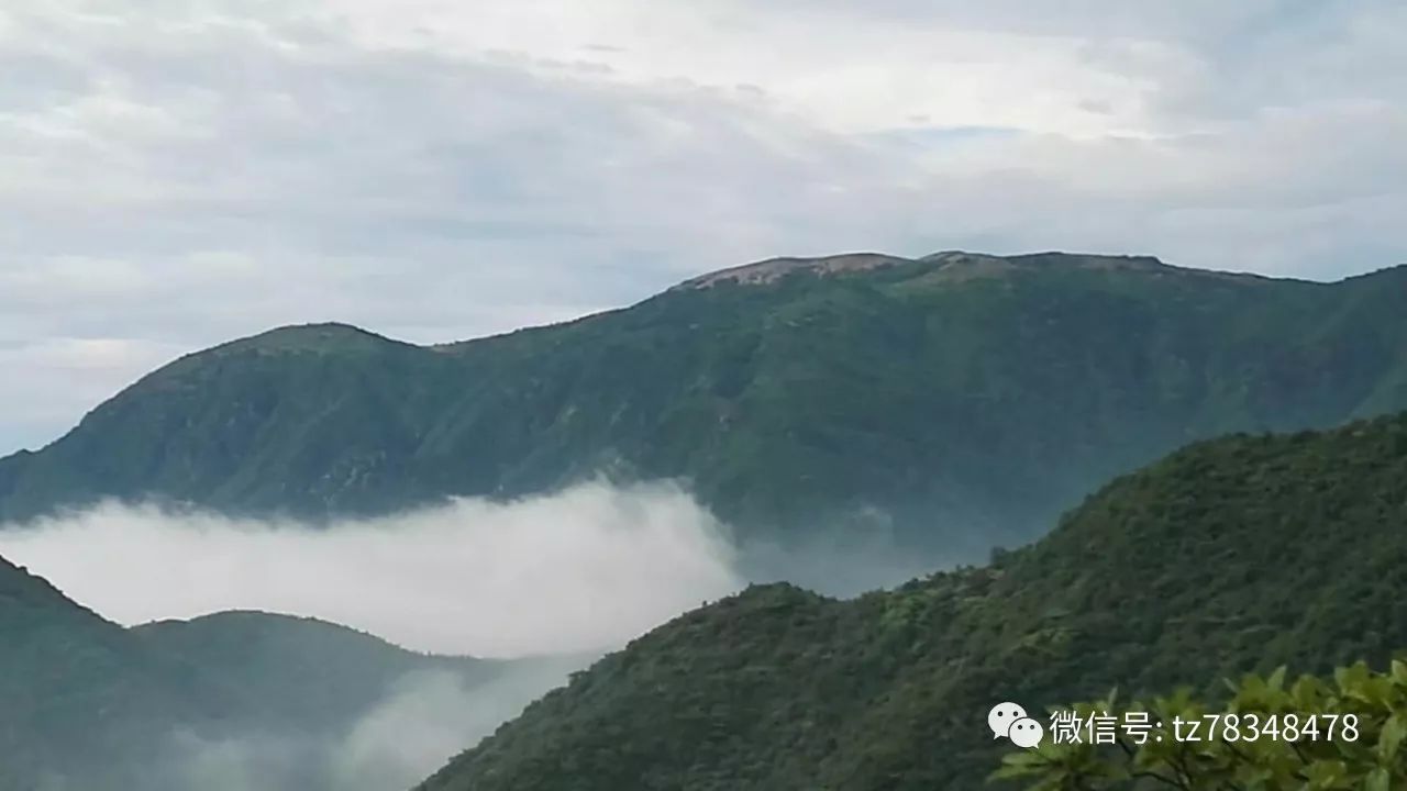 (今日头条)天台大雷山旅游开发项目又翻开新篇章