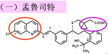 所以白三烯受体拮抗剂和白三烯合成抑制剂可以治疗哮喘