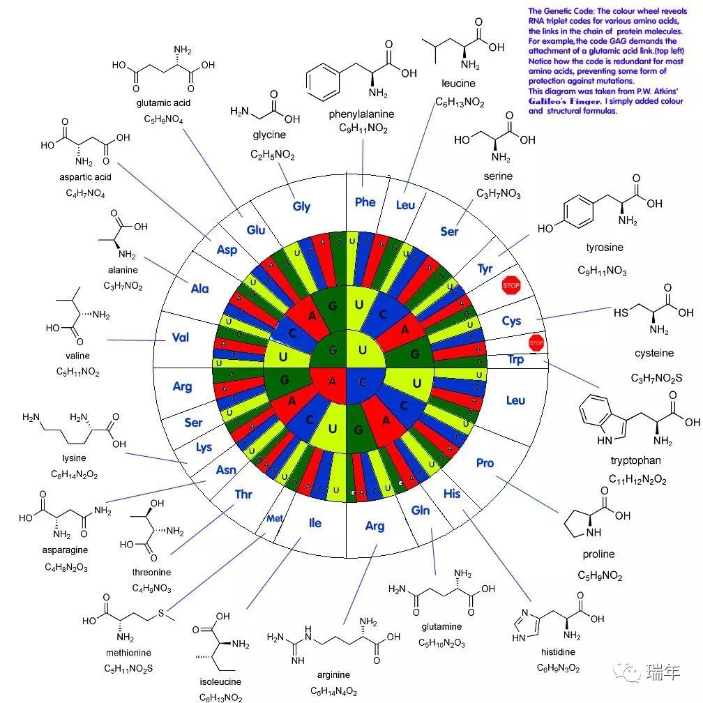 小瑞:也許很多年以後,人類真的會利用基因科學,解開所有生物體的密碼